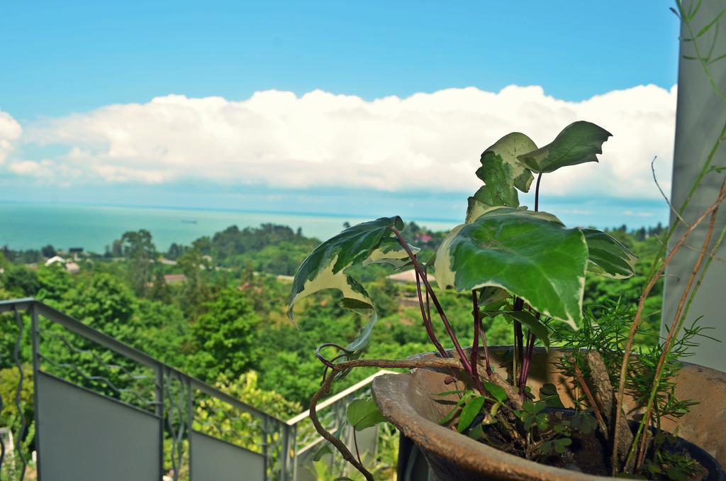 Apartments Sunset Paradise Makhinjauri Ngoại thất bức ảnh