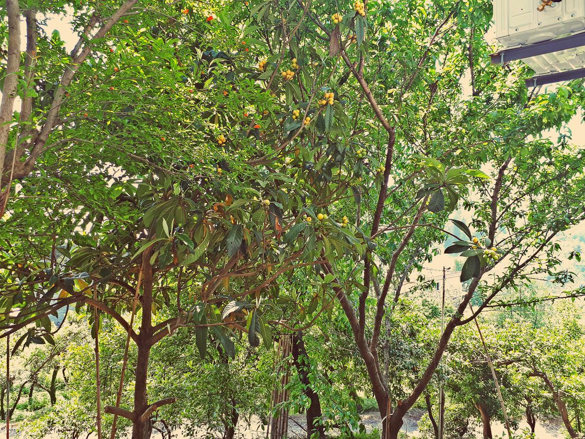 Apartments Sunset Paradise Makhinjauri Ngoại thất bức ảnh